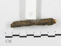 登錄號:F0013624藏品圖，第4張