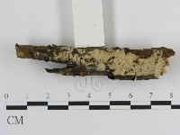 登錄號:F0013625藏品圖，第1張