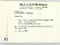 登錄號:F0013626藏品圖，第2張