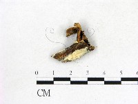 登錄號:F0013626藏品圖，第3張