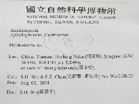 絲皮菌屬藏品圖，第2張
