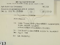 登錄號:F0013628藏品圖，第2張