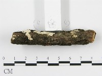 登錄號:F0013628藏品圖，第3張