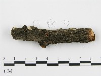 登錄號:F0013628藏品圖，第4張