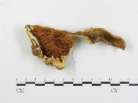 登錄號:F0013630藏品圖，第3張