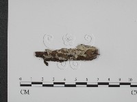登錄號:F0013631藏品圖，第1張