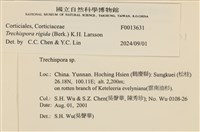 登錄號:F0013631藏品圖，第3張