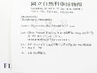 登錄號:F0013633藏品圖，第2張