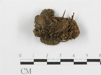 登錄號:F0013633藏品圖，第1張