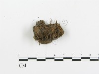 登錄號:F0013633藏品圖，第4張