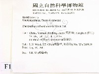 登錄號:F0013634藏品圖，第2張