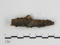 登錄號:F0013634藏品圖，第1張