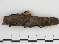 登錄號:F0013634藏品圖，第3張