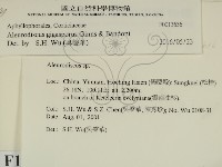 登錄號:F0013636藏品圖，第2張