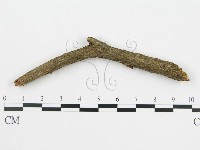 登錄號:F0013636藏品圖，第3張
