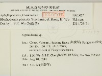 登錄號:F0013637藏品圖，第2張
