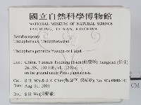 登錄號:F0013639藏品圖，第2張