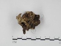 登錄號:F0013639藏品圖，第3張