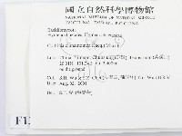 登錄號:F0013640藏品圖，第2張