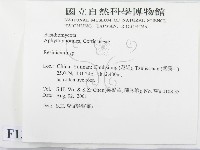 樹脂殼菌屬藏品圖，第2張