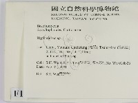絲皮菌屬藏品圖，第2張