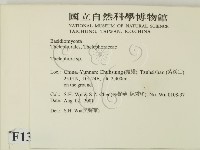 革菌屬藏品圖，第2張