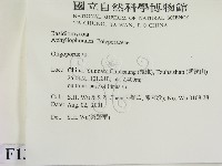 寡孔菌屬藏品圖，第2張