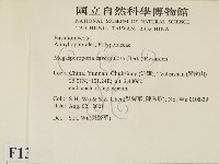 登錄號:F0013646藏品圖，第2張