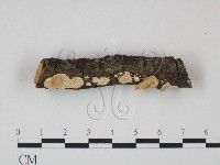 登錄號:F0013646藏品圖，第3張