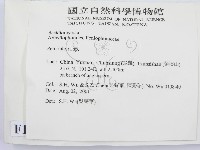 筍殼菌屬藏品圖，第2張