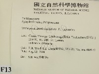 登錄號:F0013649藏品圖，第2張