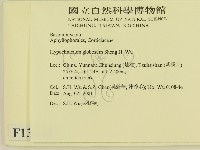 登錄號:F0013651藏品圖，第2張