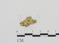 登錄號:F0013651藏品圖，第1張