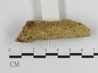 登錄號:F0013652藏品圖，第3張