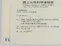 絲皮菌屬藏品圖，第2張