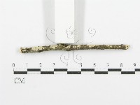 登錄號:F0013654藏品圖，第3張
