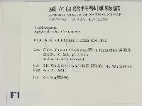 登錄號:F0013655藏品圖，第2張