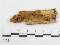 登錄號:F0013655藏品圖，第3張