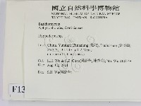 絲皮菌屬藏品圖，第2張