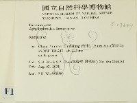 登錄號:F0013657藏品圖，第2張