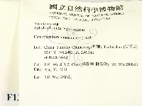 登錄號:F0013658藏品圖，第2張
