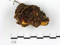 登錄號:F0013658藏品圖，第4張