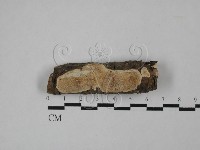 登錄號:F0013659藏品圖，第1張