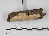 登錄號:F0013659藏品圖，第3張