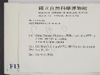 登錄號:F0013666藏品圖，第2張