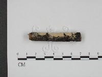 登錄號:F0013666藏品圖，第3張