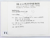 骨皮菌屬藏品圖，第2張