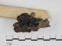 登錄號:F0013668藏品圖，第3張