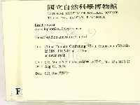 登錄號:F0013669藏品圖，第2張