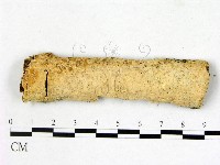 登錄號:F0013670藏品圖，第1張